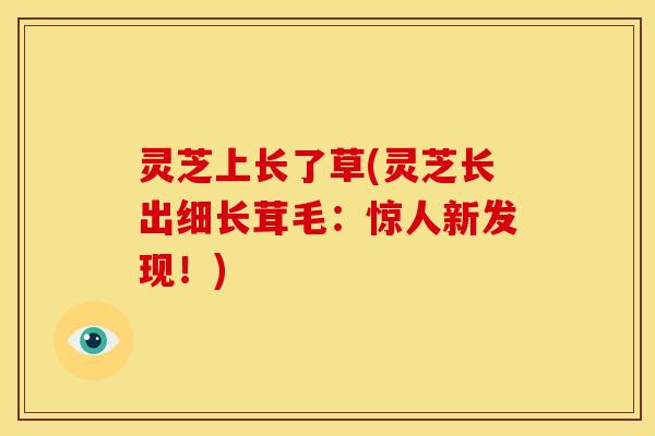 灵芝上长了草(灵芝长出细长茸毛:惊人新发现!) 灵芝上长了草(灵芝长出细长茸毛:惊人新发现!)