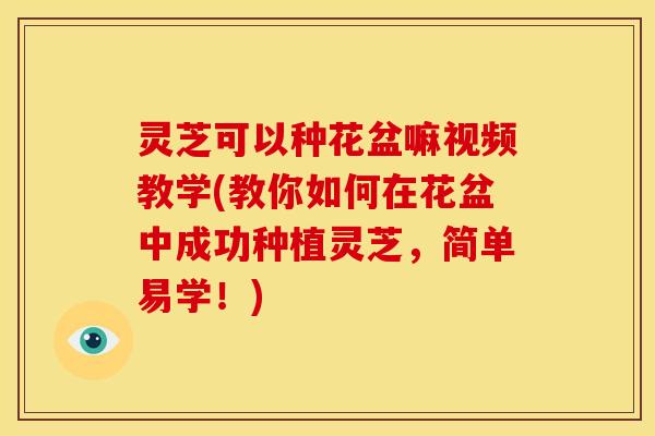 灵芝可以种花盆嘛视频教学(教你如何在花盆中成功种植灵芝,简单易学!) 灵芝可以种花盆嘛视频教学(教你如何在花盆中成功种植灵芝,简单易学!)
