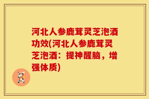 河北人参鹿茸灵芝泡酒功效(河北人参鹿茸灵芝泡酒:提神醒脑,增强体质) 河北人参鹿茸灵芝泡酒功效(河北人参鹿茸灵芝泡酒:提神醒脑,增强体质)