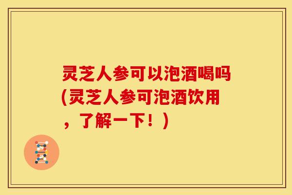 灵芝人参可以泡酒喝吗(灵芝人参可泡酒饮用，了解一下！)