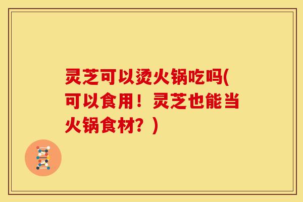 灵芝可以烫火锅吃吗(可以食用！灵芝也能当火锅食材？)