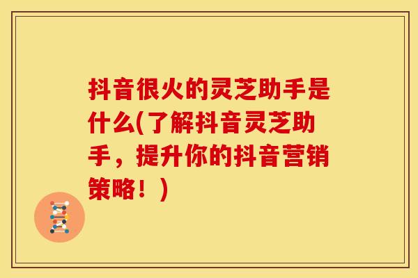抖音很火的灵芝助手是什么(了解抖音灵芝助手,提升你的抖音营销策略!) 抖音很火的灵芝助手是什么(了解抖音灵芝助手,提升你的抖音营销策略!)