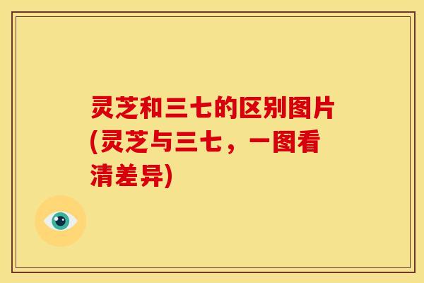 灵芝和三七的区别图片(灵芝与三七,一图看清差异) 灵芝和三七的区别图片(灵芝与三七,一图看清差异)