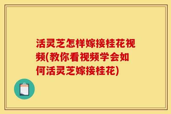 活灵芝怎样嫁接桂花视频(教你看视频学会如何活灵芝嫁接桂花)