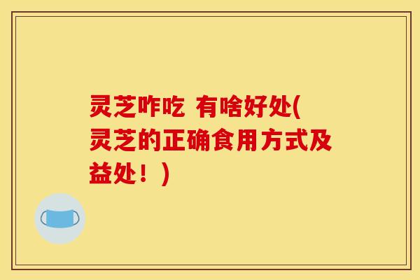 灵芝咋吃 有啥好处(灵芝的正确食用方式及益处！)