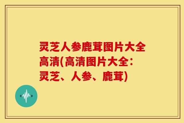 灵芝人参鹿茸图片大全高清(高清图片大全:灵芝、人参、鹿茸) 灵芝人参鹿茸图片大全高清(高清图片大全:灵芝、人参、鹿茸)