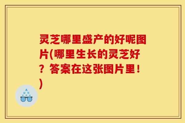 灵芝哪里盛产的好呢图片(哪里生长的灵芝好?答案在这张图片里!) 灵芝哪里盛产的好呢图片(哪里生长的灵芝好?答案在这张图片里!)
