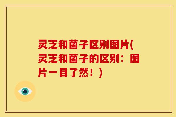 灵芝和菌子区别图片(灵芝和菌子的区别:图片一目了然!) 灵芝和菌子区别图片(灵芝和菌子的区别:图片一目了然!)