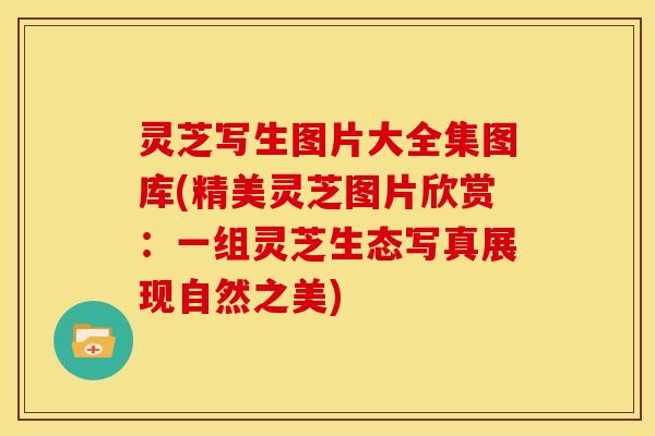 灵芝写生图片大全集图库(精美灵芝图片欣赏:一组灵芝生态写真展现自然之美) 灵芝写生图片大全集图库(精美灵芝图片欣赏:一组灵芝生态写真展现自然之美)