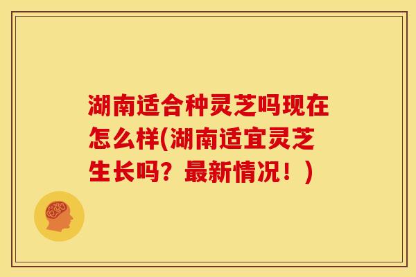 湖南适合种灵芝吗现在怎么样(湖南适宜灵芝生长吗?新情况!) 湖南适合种灵芝吗现在怎么样(湖南适宜灵芝生长吗?新情况!)