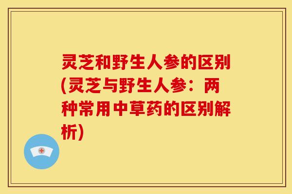 灵芝和野生人参的区别(灵芝与野生人参:两种常用中草药的区别解析) 灵芝和野生人参的区别(灵芝与野生人参:两种常用中草药的区别解析)