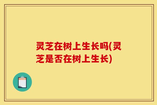 灵芝在树上生长吗(灵芝是否在树上生长) 灵芝在树上生长吗(灵芝是否在树上生长)