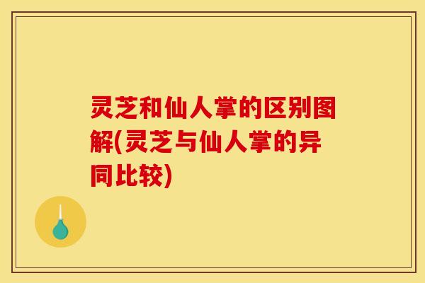 灵芝和仙人掌的区别图解(灵芝与仙人掌的异同比较) 灵芝和仙人掌的区别图解(灵芝与仙人掌的异同比较)