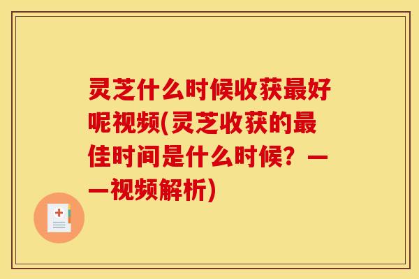 灵芝什么时候收获好呢视频(灵芝收获的佳时间是什么时候?——视频解析) 灵芝什么时候收获好呢视频(灵芝收获的佳时间是什么时候?——视频解析)