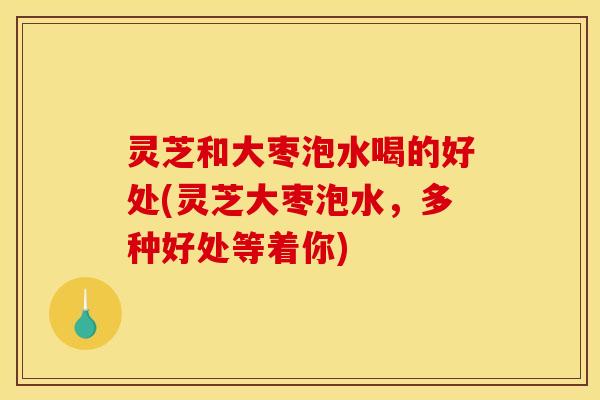灵芝和大枣泡水喝的好处(灵芝大枣泡水,多种好处等着你) 灵芝和大枣泡水喝的好处(灵芝大枣泡水,多种好处等着你)