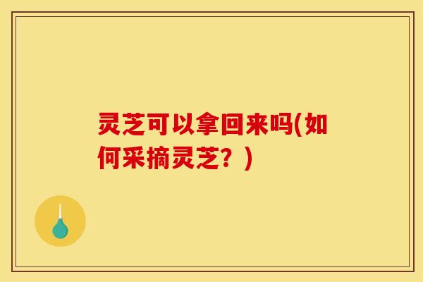灵芝可以拿回来吗(如何采摘灵芝?) 灵芝可以拿回来吗(如何采摘灵芝?)