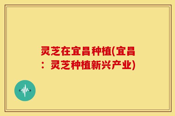 灵芝在宜昌种植(宜昌:灵芝种植新兴产业) 灵芝在宜昌种植(宜昌:灵芝种植新兴产业)