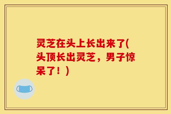 灵芝在头上长出来了(头顶长出灵芝,男子惊呆了!) 灵芝在头上长出来了(头顶长出灵芝,男子惊呆了!)