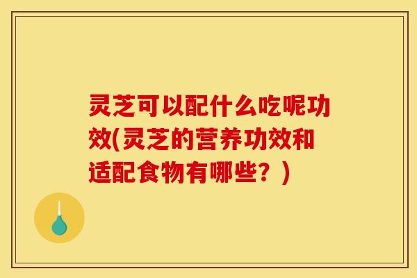 灵芝可以配什么吃呢功效(灵芝的营养功效和适配食物有哪些?) 灵芝可以配什么吃呢功效(灵芝的营养功效和适配食物有哪些?)