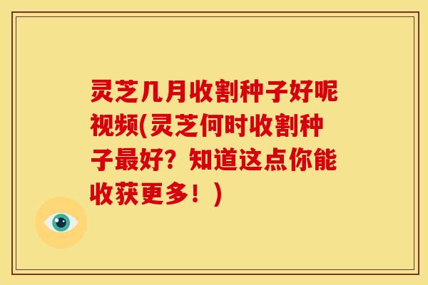 灵芝几月收割种子好呢视频(灵芝何时收割种子好?知道这点你能收获更多!) 灵芝几月收割种子好呢视频(灵芝何时收割种子好?知道这点你能收获更多!)
