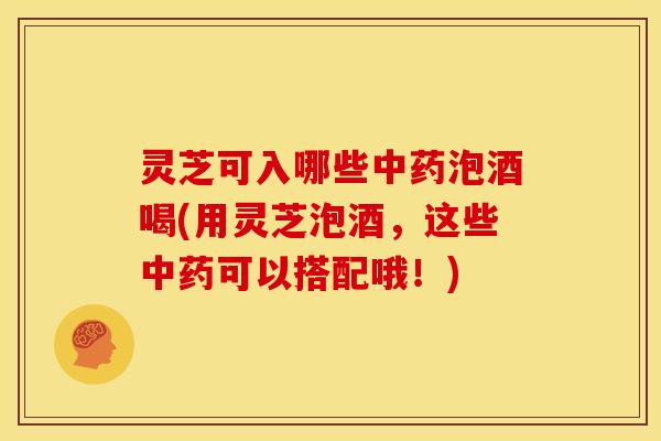 灵芝可入哪些泡酒喝(用灵芝泡酒，这些可以搭配哦！)