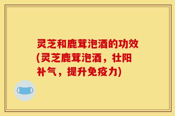 灵芝和鹿茸泡酒的功效(灵芝鹿茸泡酒,壮阳,提升免疫力) 灵芝和鹿茸泡酒的功效(灵芝鹿茸泡酒,壮阳,提升免疫力)