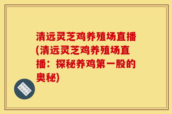 清远灵芝鸡养殖场直播(清远灵芝鸡养殖场直播:探秘养鸡第一股的奥秘) 清远灵芝鸡养殖场直播(清远灵芝鸡养殖场直播:探秘养鸡第一股的奥秘)