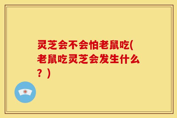 灵芝会不会怕老鼠吃(老鼠吃灵芝会发生什么?) 灵芝会不会怕老鼠吃(老鼠吃灵芝会发生什么?)