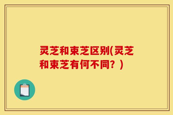 灵芝和束芝区别(灵芝和束芝有何不同？)