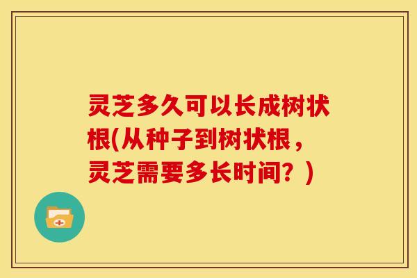 灵芝多久可以长成树状根(从种子到树状根,灵芝需要多长时间?) 灵芝多久可以长成树状根(从种子到树状根,灵芝需要多长时间?)