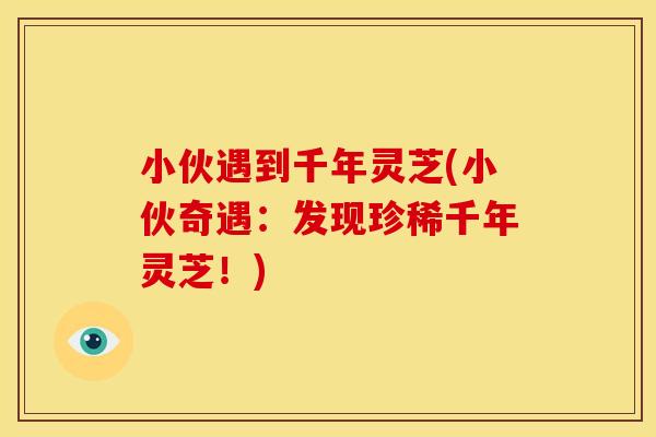 小伙遇到千年灵芝(小伙奇遇:发现珍稀千年灵芝!) 小伙遇到千年灵芝(小伙奇遇:发现珍稀千年灵芝!)