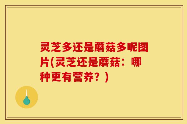 灵芝多还是蘑菇多呢图片(灵芝还是蘑菇:哪种更有营养?) 灵芝多还是蘑菇多呢图片(灵芝还是蘑菇:哪种更有营养?)