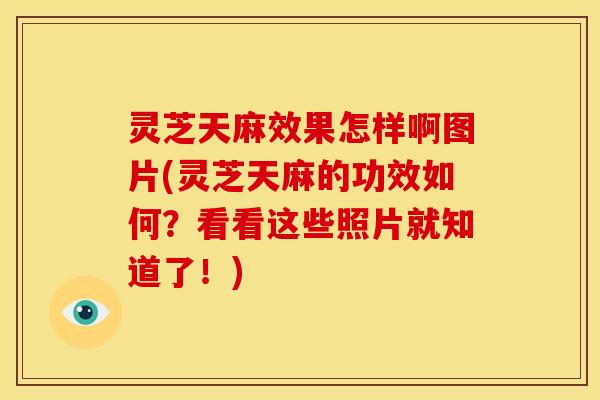 灵芝天麻效果怎样啊图片(灵芝天麻的功效如何?看看这些照片就知道了!) 灵芝天麻效果怎样啊图片(灵芝天麻的功效如何?看看这些照片就知道了!)