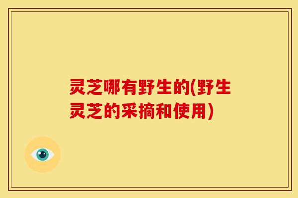 灵芝哪有野生的(野生灵芝的采摘和使用) 灵芝哪有野生的(野生灵芝的采摘和使用)