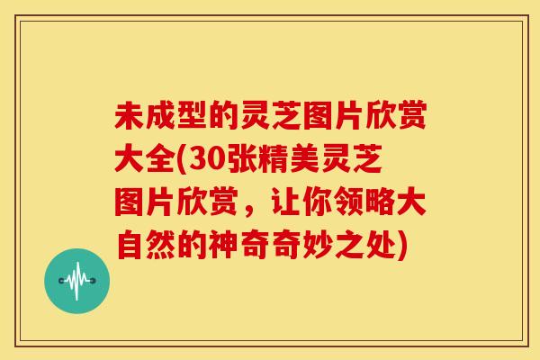 未成型的灵芝图片欣赏大全(30张精美灵芝图片欣赏,让你领略大自然的神奇奇妙之处) 未成型的灵芝图片欣赏大全(30张精美灵芝图片欣赏,让你领略大自然的神奇奇妙之处)