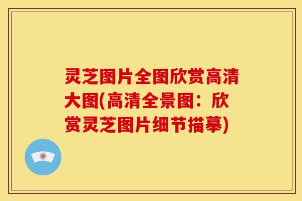 灵芝图片全图欣赏高清大图(高清全景图:欣赏灵芝图片细节描摹) 灵芝图片全图欣赏高清大图(高清全景图:欣赏灵芝图片细节描摹)