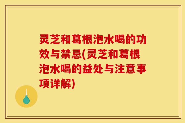 灵芝和葛根泡水喝的功效与禁忌(灵芝和葛根泡水喝的益处与注意事项详解) 灵芝和葛根泡水喝的功效与禁忌(灵芝和葛根泡水喝的益处与注意事项详解)