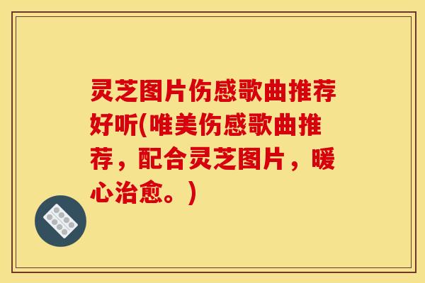 灵芝图片伤感歌曲推荐好听(唯美伤感歌曲推荐,配合灵芝图片,暖心愈。) 灵芝图片伤感歌曲推荐好听(唯美伤感歌曲推荐,配合灵芝图片,暖心愈。)