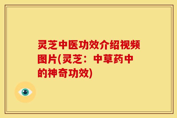 灵芝中医功效介绍视频图片(灵芝:中草药中的神奇功效) 灵芝中医功效介绍视频图片(灵芝:中草药中的神奇功效)