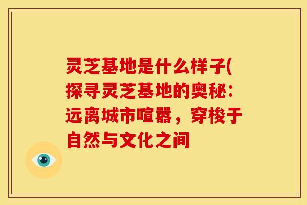 灵芝基地是什么样子(探寻灵芝基地的奥秘:远离城市喧嚣,穿梭于自然与文化之间 灵芝基地是什么样子(探寻灵芝基地的奥秘:远离城市喧嚣,穿梭于自然与文化之间