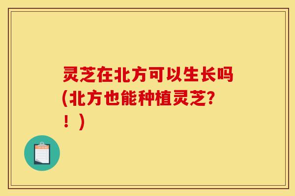 灵芝在北方可以生长吗(北方也能种植灵芝？！)
