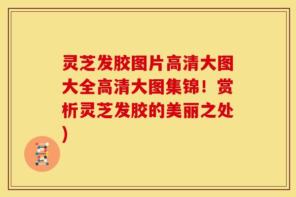 灵芝发胶图片高清大图大全高清大图集锦!赏析灵芝发胶的美丽之处) 灵芝发胶图片高清大图大全高清大图集锦!赏析灵芝发胶的美丽之处)