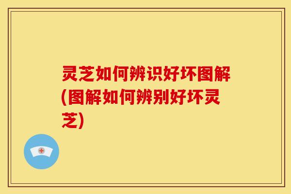 灵芝如何辨识好坏图解(图解如何辨别好坏灵芝) 灵芝如何辨识好坏图解(图解如何辨别好坏灵芝)