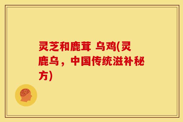 灵芝和鹿茸 乌鸡(灵鹿乌,中国传统滋补秘方) 灵芝和鹿茸 乌鸡(灵鹿乌,中国传统滋补秘方)