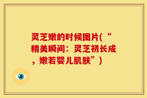 灵芝嫩的时候图片(“精美瞬间：灵芝初长成，嫩若婴儿”)