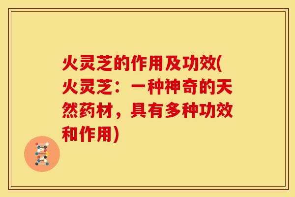 火灵芝的作用及功效(火灵芝:一种神奇的天然药材,具有多种功效和作用) 火灵芝的作用及功效(火灵芝:一种神奇的天然药材,具有多种功效和作用)