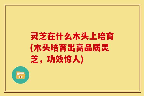 灵芝在什么木头上培育(木头培育出高品质灵芝,功效惊人) 灵芝在什么木头上培育(木头培育出高品质灵芝,功效惊人)
