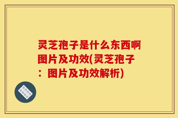 灵芝孢子是什么东西啊图片及功效(灵芝孢子:图片及功效解析) 灵芝孢子是什么东西啊图片及功效(灵芝孢子:图片及功效解析)