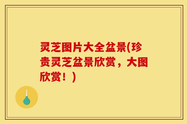 灵芝图片大全盆景(珍贵灵芝盆景欣赏，大图欣赏！)