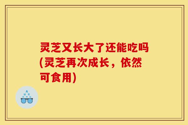灵芝又长大了还能吃吗(灵芝再次成长,依然可食用) 灵芝又长大了还能吃吗(灵芝再次成长,依然可食用)